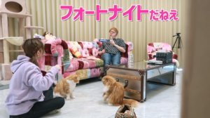 ヒカキンさんのフォートナイトへの熱は本物か！