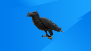 【フォートナイト】新シーズンよりカラスが登場か!
