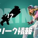 【フォートナイト】[リーク]Chloe Kim（クロエ・キム）はじめアイテムのファイルが追加されてる！近日登場か？