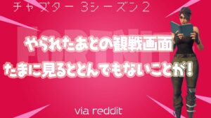 【フォートナイト】[reddit]めったにない飛行船でおきた悲劇！倒されてからも続いてた！
