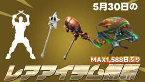【フォートナイト】5月30日レアアイテム情報