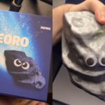【フォートナイト】海外のコンテンツクリエイターの元に「目がついた隕石のペットのおもちゃ」が届く