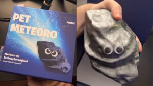 【フォートナイト】海外のコンテンツクリエイターの元に「目がついた隕石のペットのおもちゃ」が届く