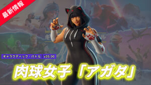 【フォートナイト】アイテムショップに新たな猫スキン「アガタ」が登場！
