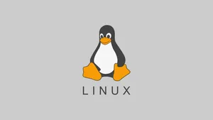 【フォートナイト】ついにLinux対応へ!新「Easy Anti-Cheat Linux v2」を先行導入、Steam Deckは現時点で非対応